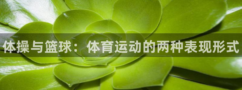 oety欧亿体育官网下载软件：体操与篮球：体育运动的两种表现