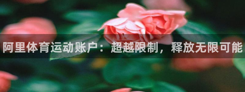 oety欧亿体育官网下载平台注册流程视频：阿里体育运