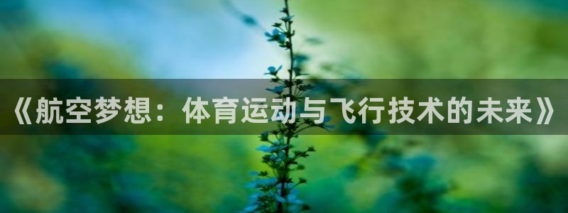 oety欧亿体育官网下载招商电话地址：《航空梦想：体
