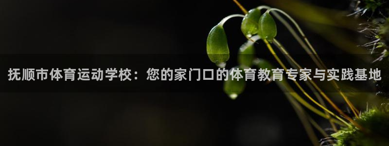 oety欧亿体育官网下载娱乐