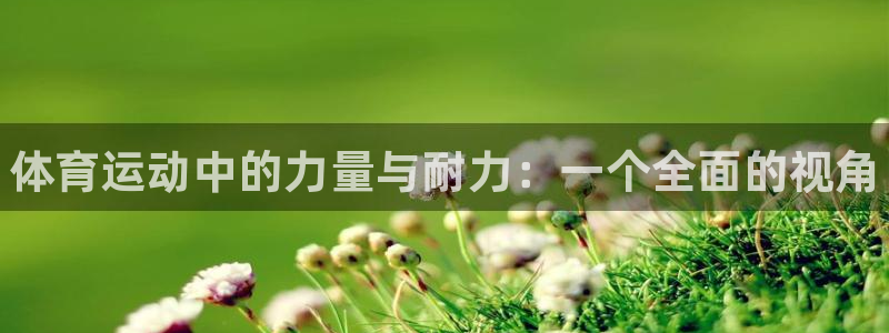 海南oety欧亿体育官网下载发展怎么样：体育运动中的力量与耐