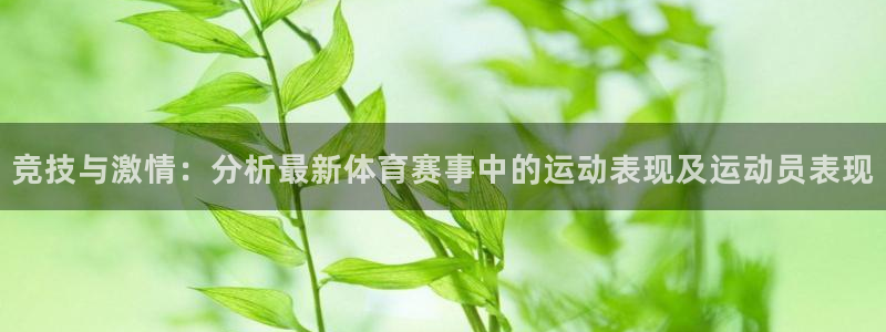 欧亿体育官方正版app集团：竞技与激情：分析最新体育赛事中的