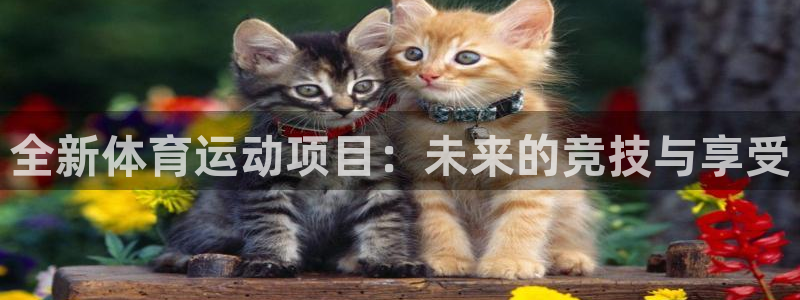 欧亿体育官方正版app娱乐网站：全新体育运动项目：未