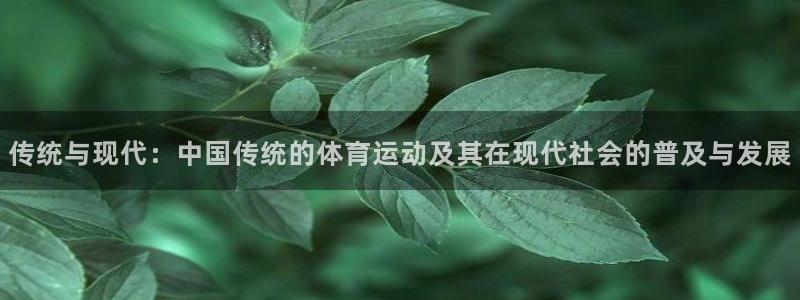 oety欧亿体育官网下载平台注册流程视频：传统与现代