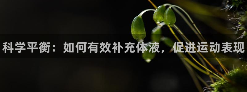 欧亿体育官方正版app娱乐：科学平衡：如何有效补充体