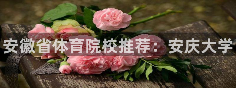 oety欧亿体育官网下载娱乐