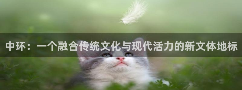 oety欧亿体育官网下载平台假的吗是真的吗吗