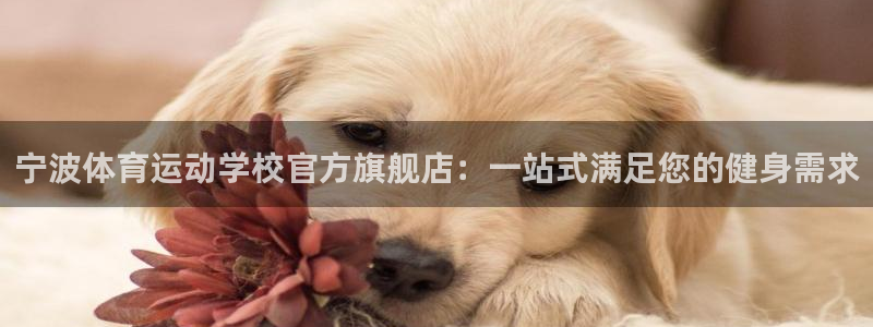 oety欧亿体育官网下载软件:宁波体育运动学校官方旗舰店:一