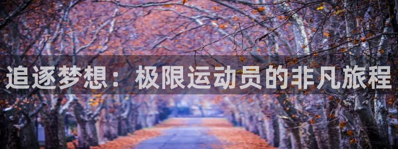 oety欧亿体育官网下载是干嘛的公司：追逐梦想：极限运动员的