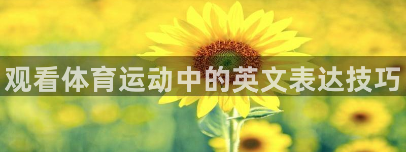 oety欧亿体育官网下载招商电话地址：观看体育运动中的英文表