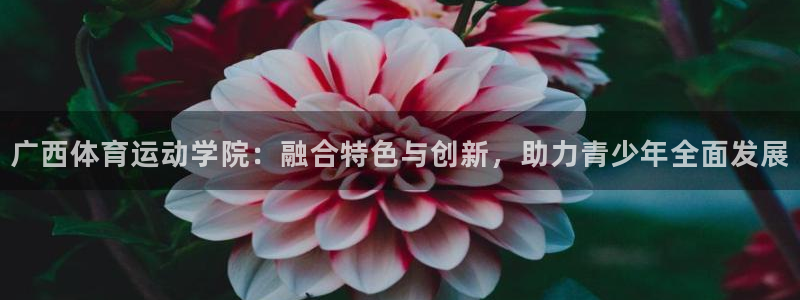 oety欧亿体育官网下载平台假的吗是真的吗吗