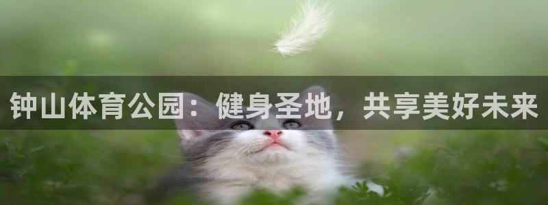 欧亿体育官方正版app娱乐：钟山体育公园：健身圣地，共享美好