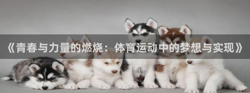  oe欧亿交易所app官方下载：《青春与力量的燃烧：体育运动中