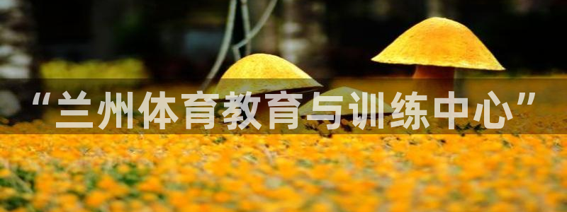  欧亿平台登录地址：“兰州体育教育与训练中心”