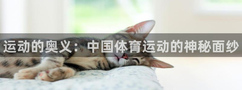  欧亿软件下载：运动的奥义：中国体育运动的神秘面纱
