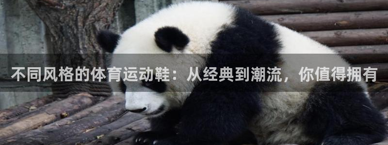 oety欧亿体育官网：不同风格的体育运动鞋：从经典到潮流，你