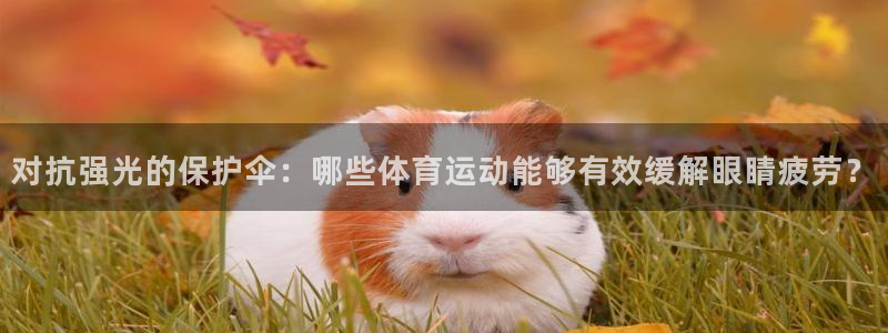 最新欧亿app官方下载：对抗强光的保护伞：哪些体育运动能够有