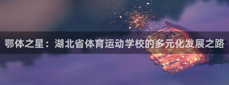  oe欧亿黑彩平台怎么样：鄂体之星：湖北省体育运动学校的多元化