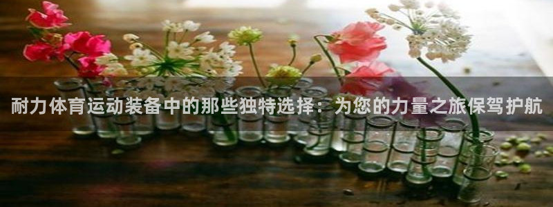 oety欧亿体育官网下载招商电话是多少号码：耐力体育运动装备