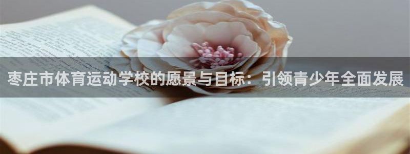 oety欧亿体育官网下载娱乐
