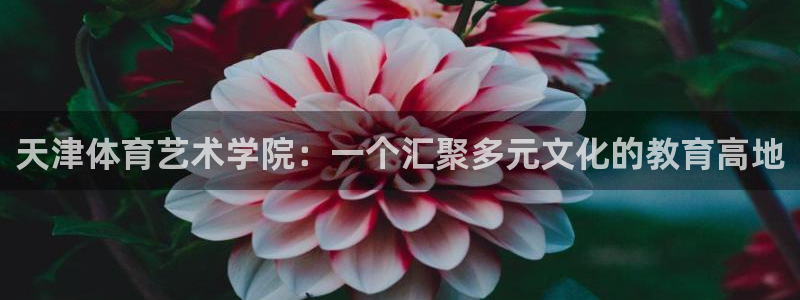 oety欧亿体育官网下载招商电话号码：天津体育艺术学院：一个